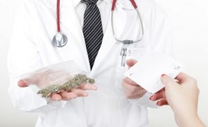 Marijuana Clinic Consultants